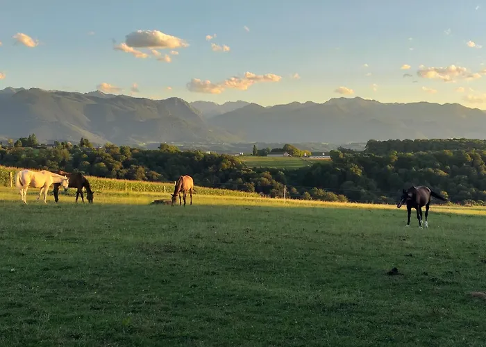 Les 3 Collines Gites, Panorama Sur Les Pyrenees 公寓
