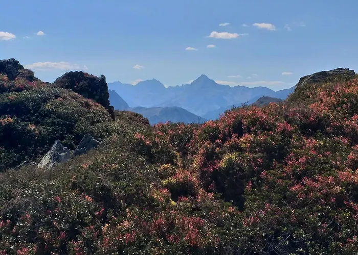 公寓 Les 3 Collines Gites, Panorama Sur Les Pyrenees Saint-Vincent (Pyrenees-Atlantiques)