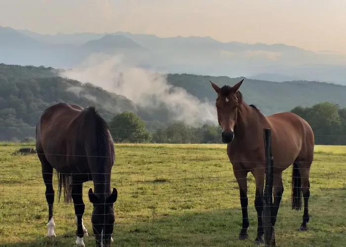 Les 3 Collines Gites, Panorama Sur Les Pyrenees 公寓 *