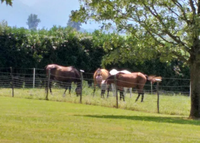 公寓 Les 3 Collines Gites, Panorama Sur Les Pyrenees